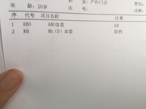 血型怎么看化验单