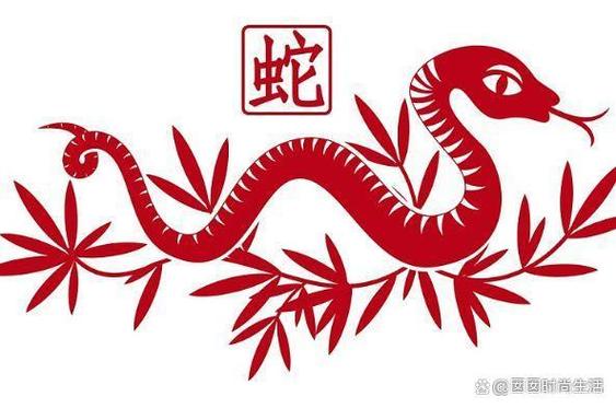 生肖蛇如何让小人远离自己