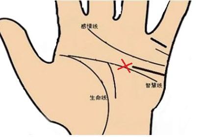智慧线由细浅变深粗