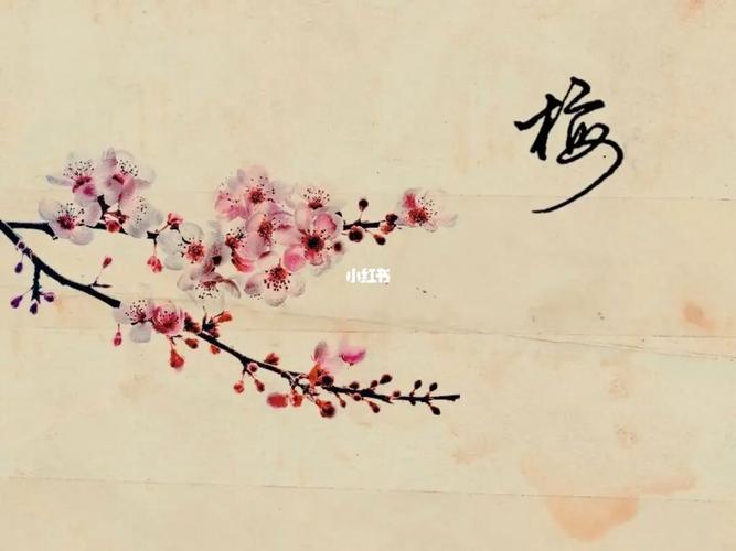 姓梅女孩高雅有诗意的名字