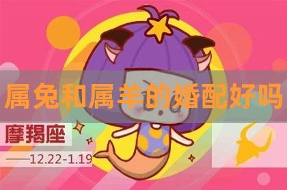 属羊中谁会畏惧婚姻不敢结婚