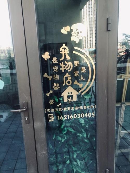 文过饰非洋气的名字宠物装点门面
