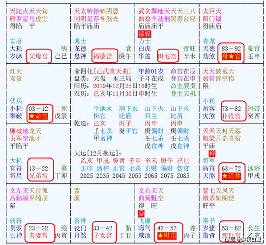 紫薇斗数守照 会照是什么意思