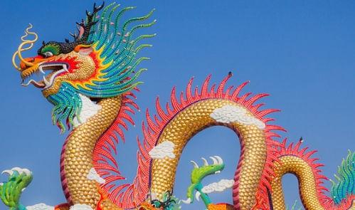 属龙的人2019年年底前能升职加薪吗?事业运好不好?
