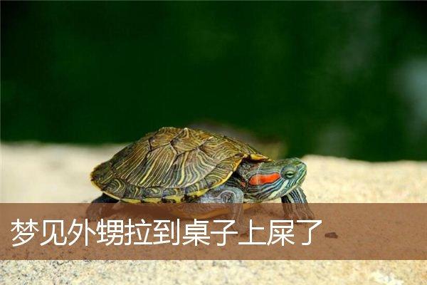 梦见饭里有屎