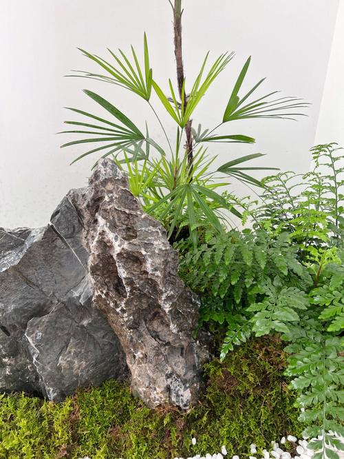 办公室门口有竹子的风水好吗?办公室装修的风水布局