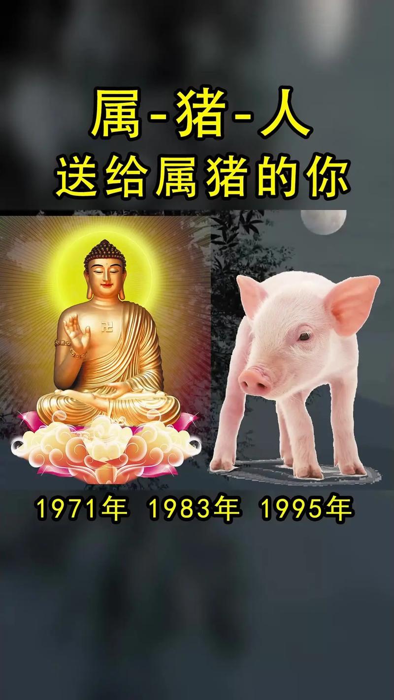 属猪2022年谁都躲不过的劫难