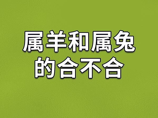 怎么和属羊的老板相处
