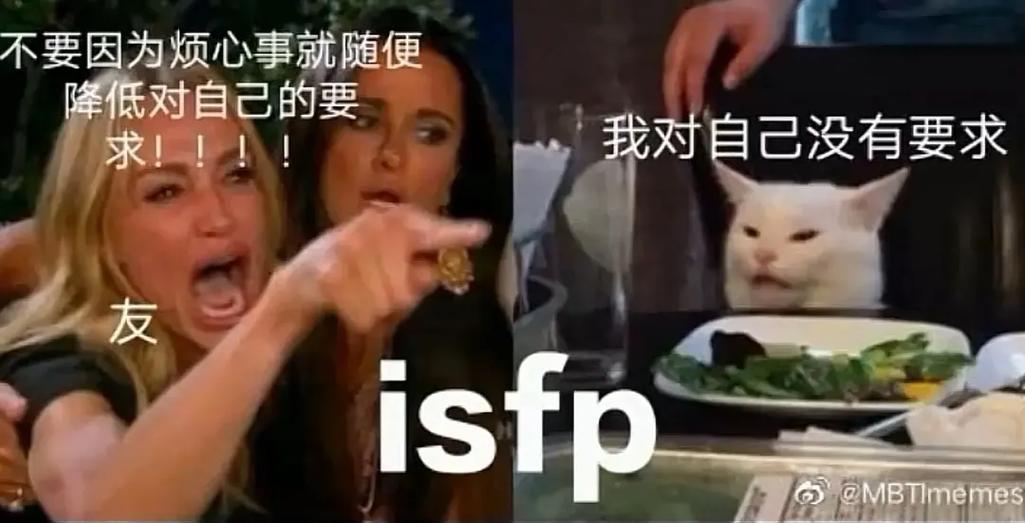 性格高冷,外冷内也冷的生肖