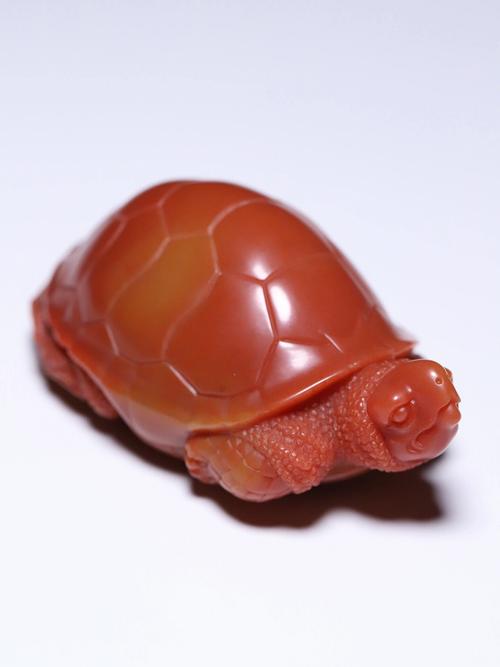 寿龟的寓意来历