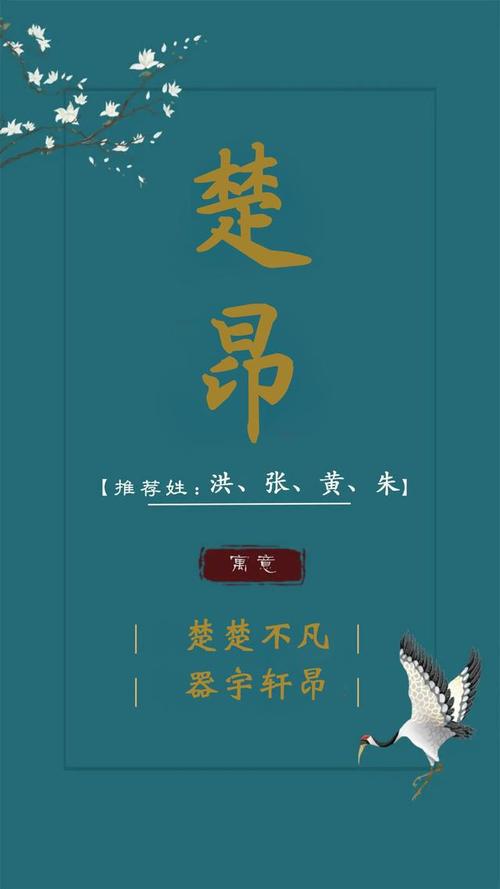 大气响亮的郎姓男孩名字
