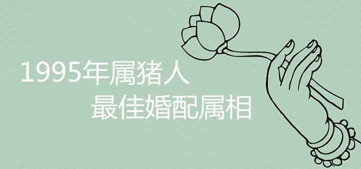 两个95属猪的结婚好吗