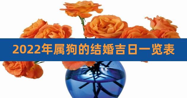 2022年属狗的什么时候结婚好
