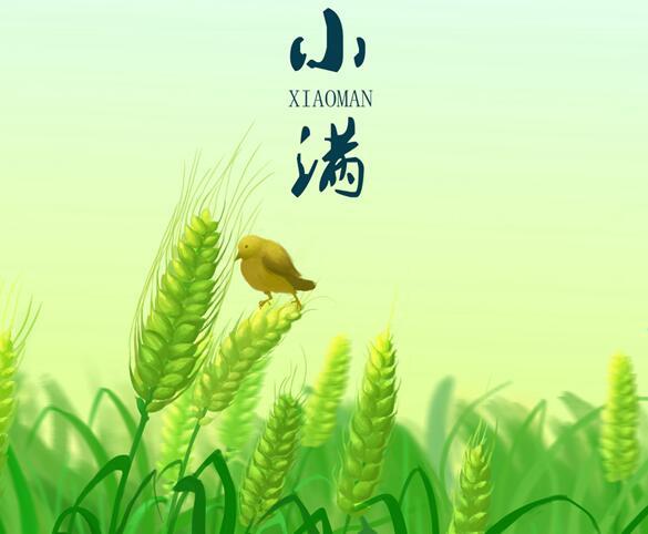 属龙人小满节气出生是不是好命?命运怎么样?