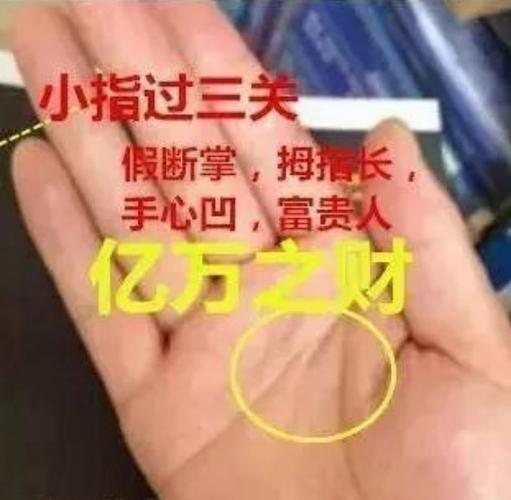 假断掌有元宝的女人命运