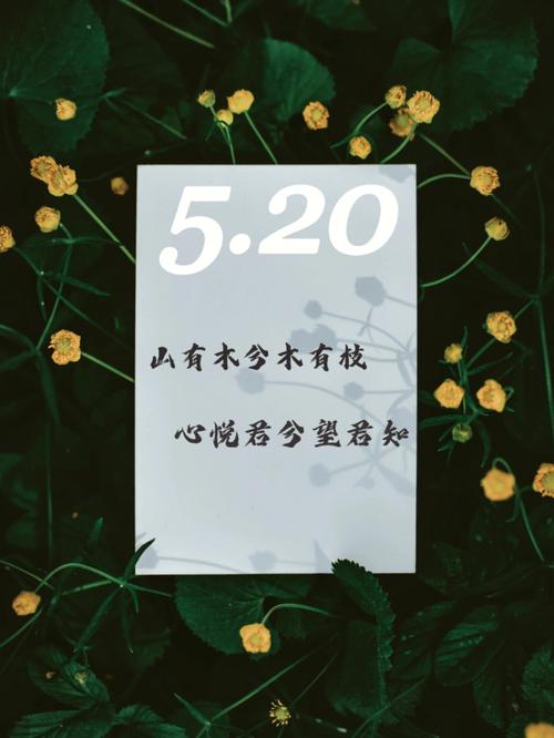 520还能这样告白