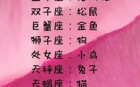 白羊座适合养什么宠物