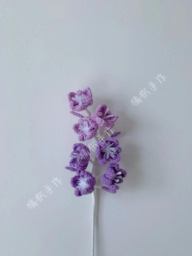 雨久花花语:此情不渝,天长地久