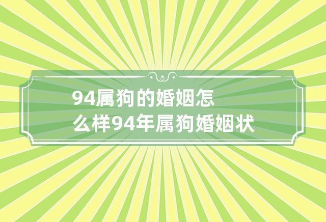 94年的狗今年婚姻状况如何