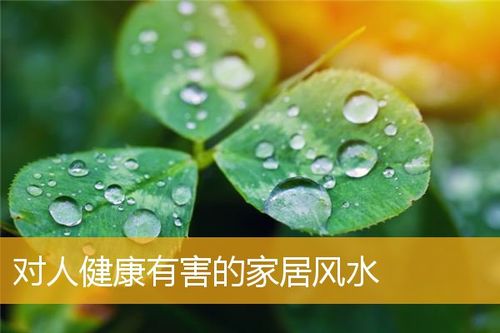 什么样的风水对健康有极大影响-家居风水