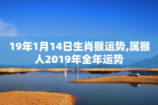属猴男2019年每月运势