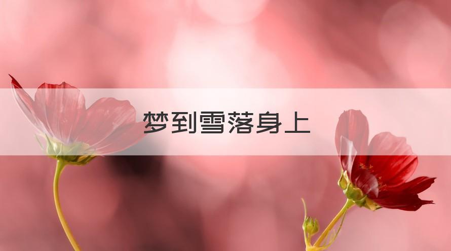 梦见雪落身上 周公解梦之梦到雪落身上