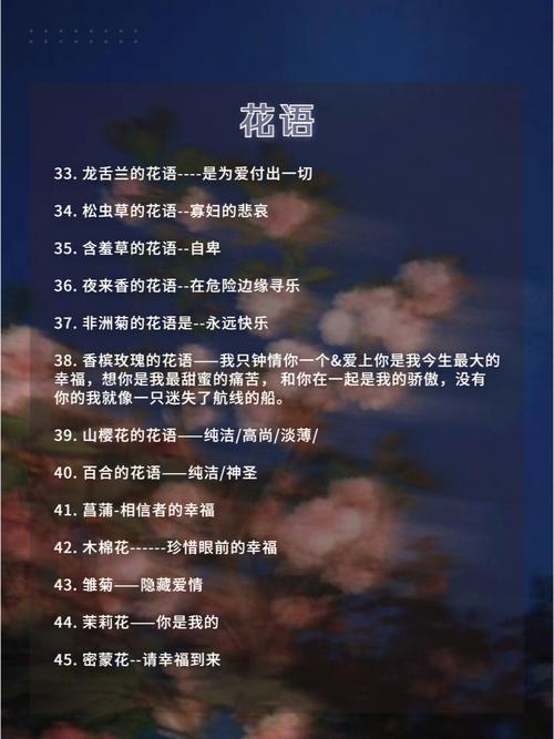 属猪人在哪方面不爱花时间花精力