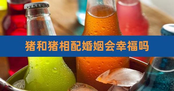 猪与猪结合婚姻幸福吗