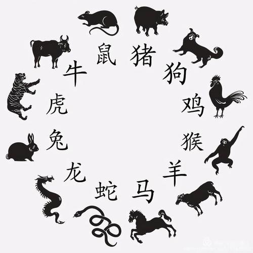 属啥随啥---十二属相的不同个性