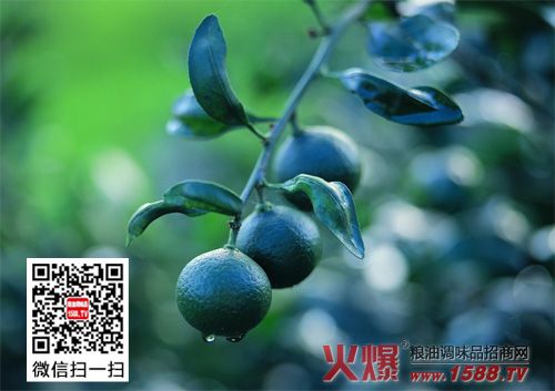梦见吃青色的橘子是什么意思