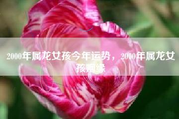 2000年属龙女2021年财运运势