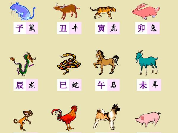 十二生肖颜值排名