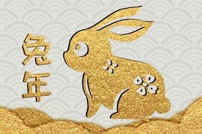 属兔会表面传统实则内心开放吗