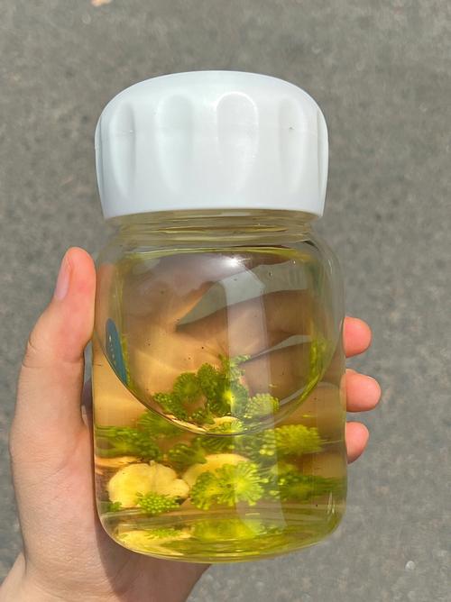 天上火最怕什么