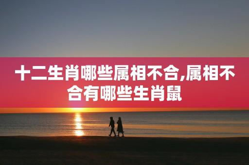 命运坎坷 这些生肖总在遇到错误的人