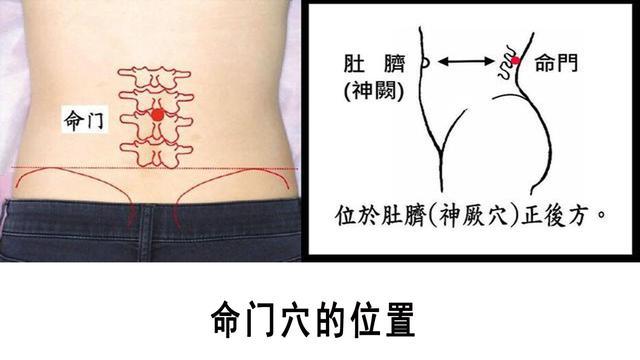 体相学:太极松腰