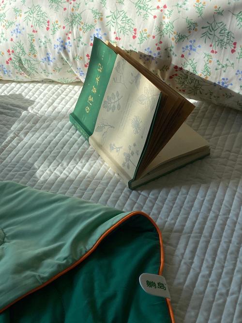 天秤座最适合什么床
