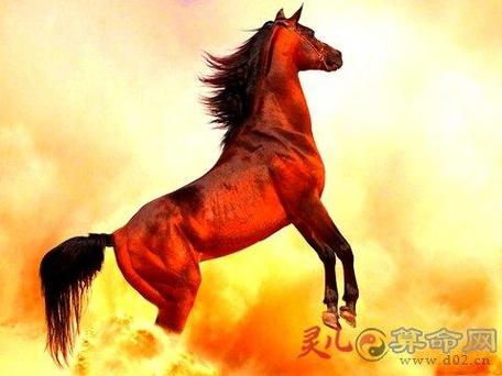 属马人2020年7月份运势，恐遭破产耗财危机