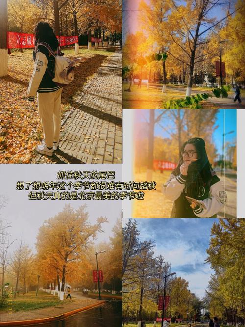 属狗会在什么感觉如释重负