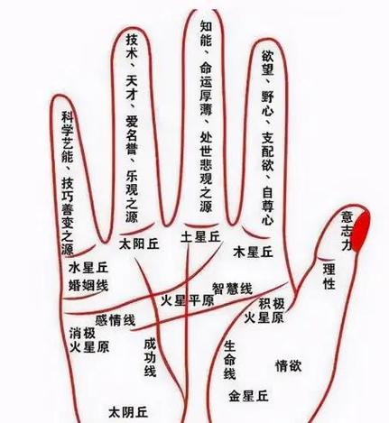 关于手掌十字纹的大富大贵说法