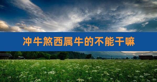冲牛煞西这天属牛的能动土吗