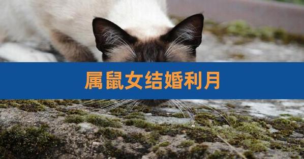 属兔2021年结婚大利月小利月是几月?属兔适合几月结婚?