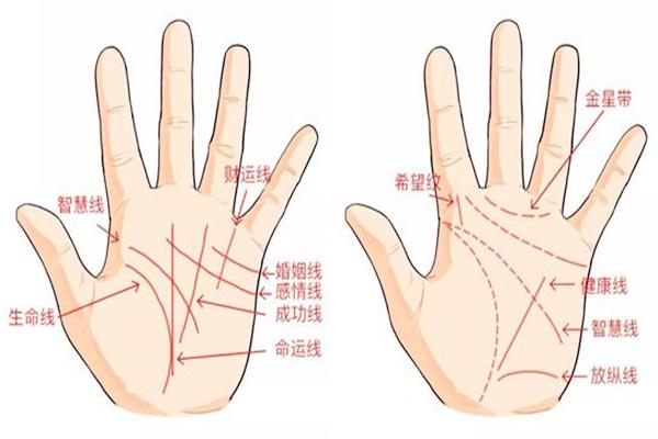 哪几种手相特征的人后福旺