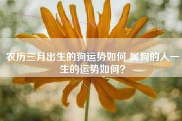 三月出生属狗人的运势