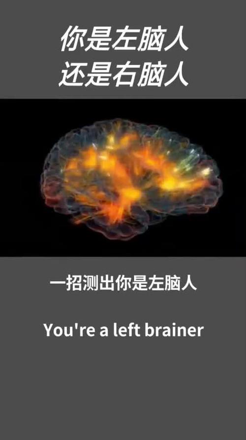 测你哪个小脑更加聪明