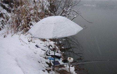梦见雪中垂钓是什么意思