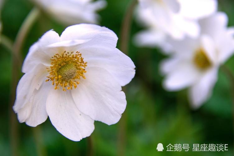 紧握缘分,珠联璧合的三大星座