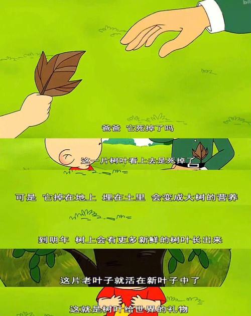 大耳朵图图每集名字