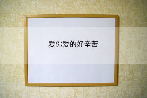 你爱他爱得很辛苦吗