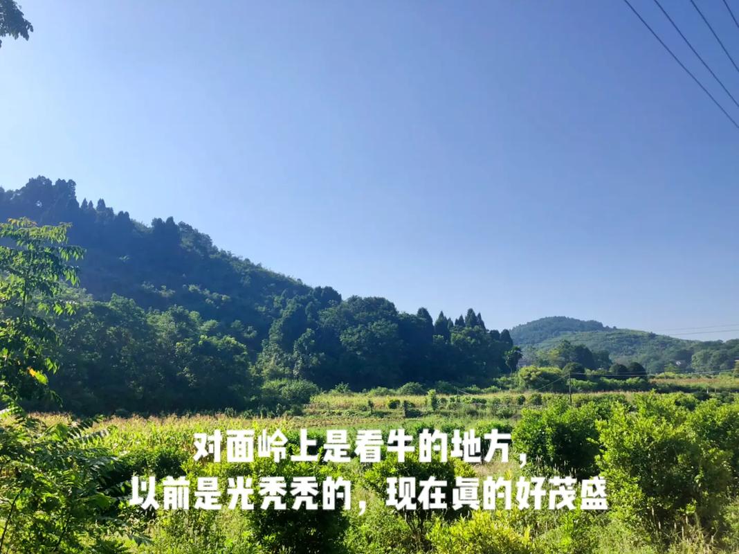 梦见修公路是什么预兆